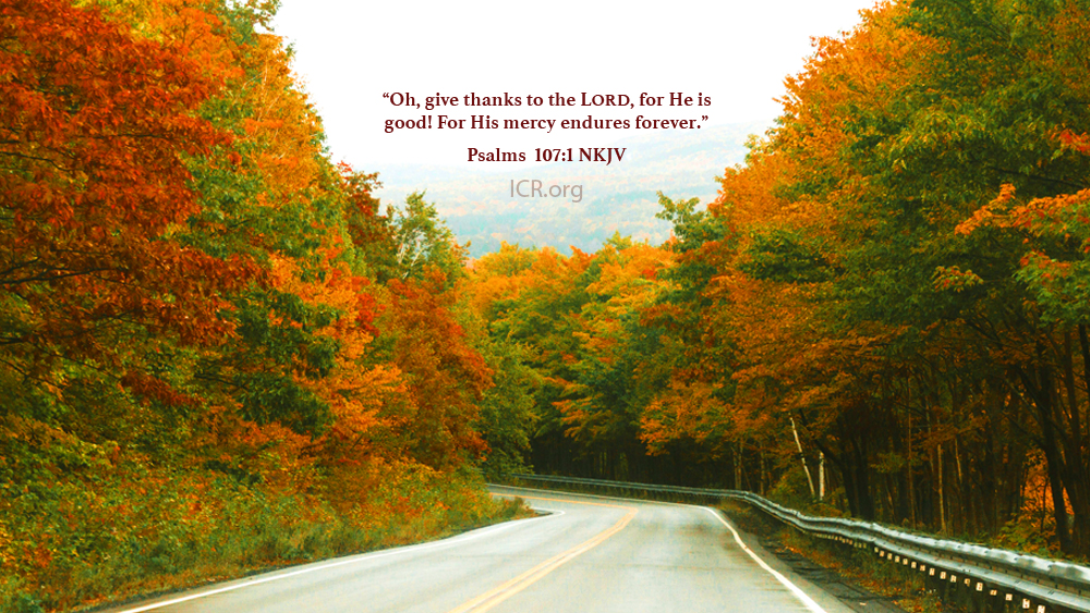 November 2025 ICR Wallpaper