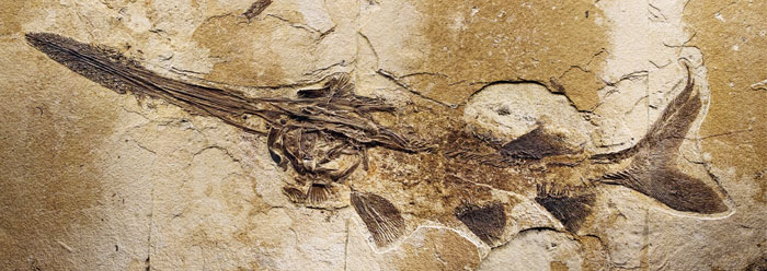 Fossilized Biomaterials Must Be Young