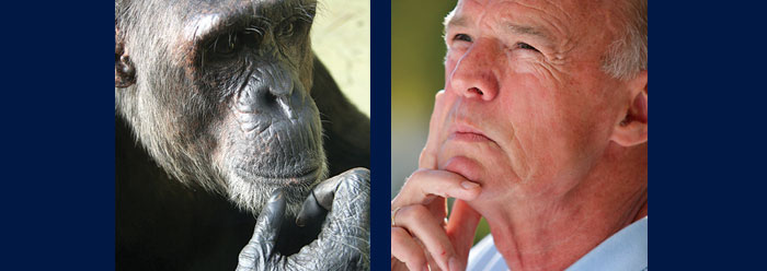 Human-Chimp Genetic Similarity: Is the Evolutionary Dogma Valid?