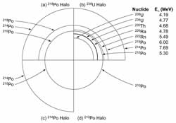 Figure 1. Composite schematic drawing of (a) a 218Po halo, (b) a 238U halo, (c) a 214Po halo, and (d) a 210Po halo with radii proportional to the ranges of alpha-particles in air.  The nuclides responsible for the alpha-particles and their energies are listed for the different halo rings (after Gentry4).