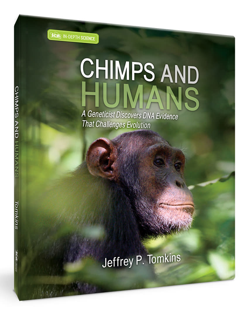 ICR s New In Depth Science Book Chimps And Humans The Institute For 