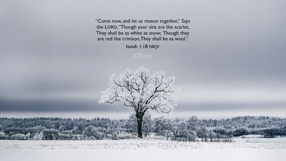 December 2025 ICR Wallpaper