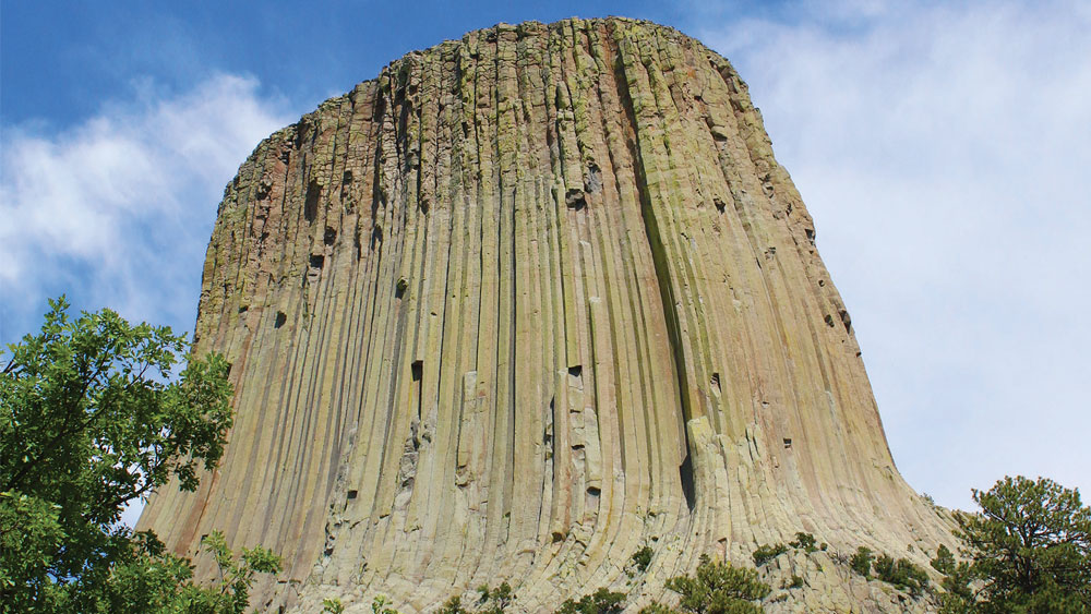 are dogs allowed at devils tower