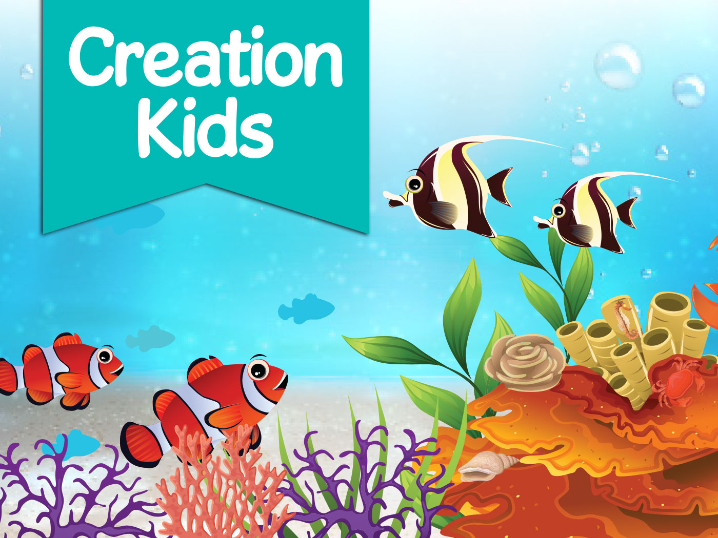 Creation Kids: Coral Reef  The Institute for Creation Research