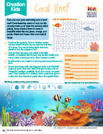 Creation Kids: Coral Reef  The Institute for Creation Research